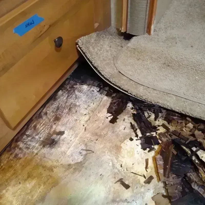 Wood Floor Water Damage in Yucca Valley, CA